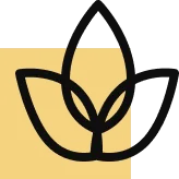 Stile di vita di lusso